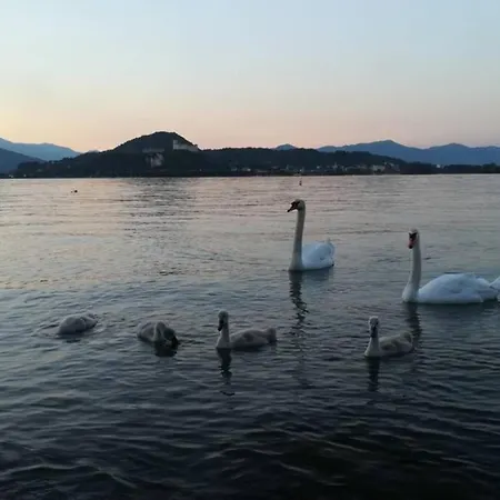 Aronareddoor Appartamento Arona